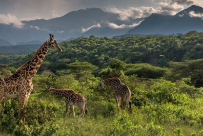 Ol Donyo Sabuk National Park