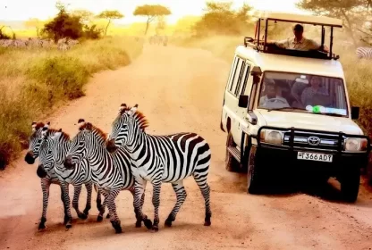 Nairobi National Park