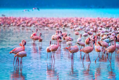 Lake Nakuru National Park