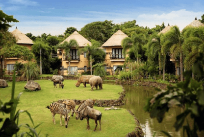 Top 10 Kenya Safari Hotels and Lodges: A Detailed Review