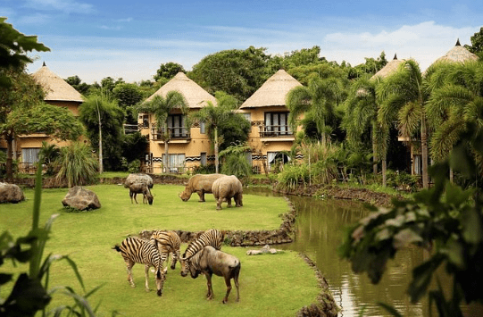 Top 10 Kenya Safari Hotels and Lodges