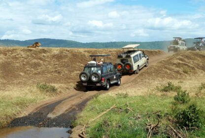 What Time Of Year Is Best to Go On A Safari In Kenya?