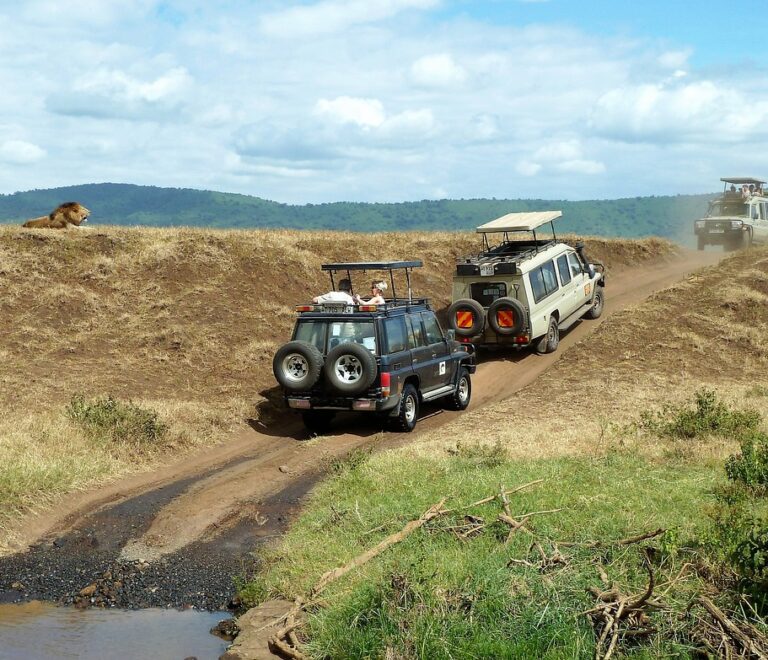 What Time Of Year Is Best to Go On A Safari In Kenya?