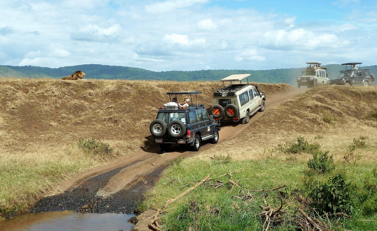 What Time Of Year Is Best to Go On A Safari In Kenya?